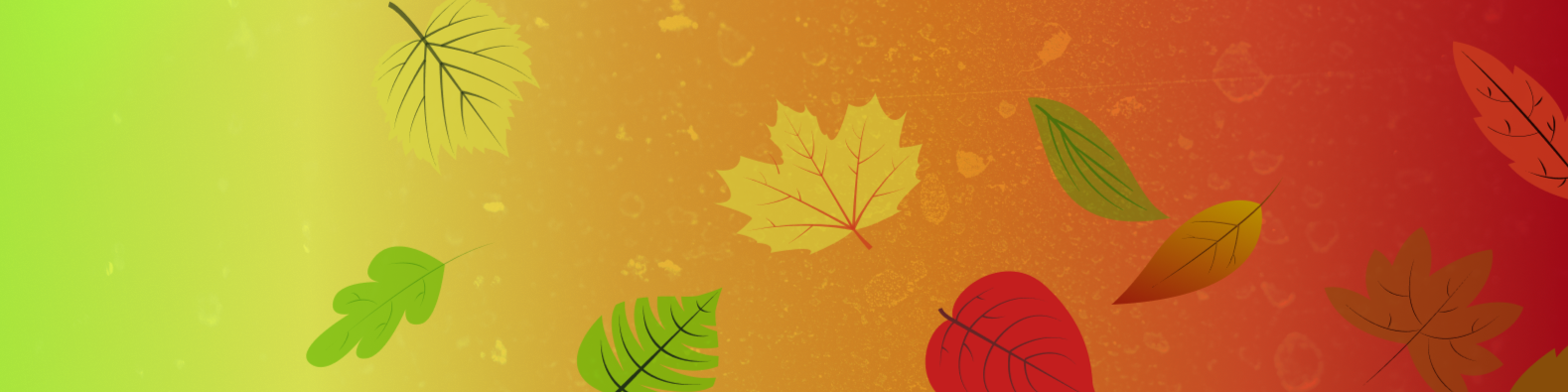 Autumn LinkedIn Banner